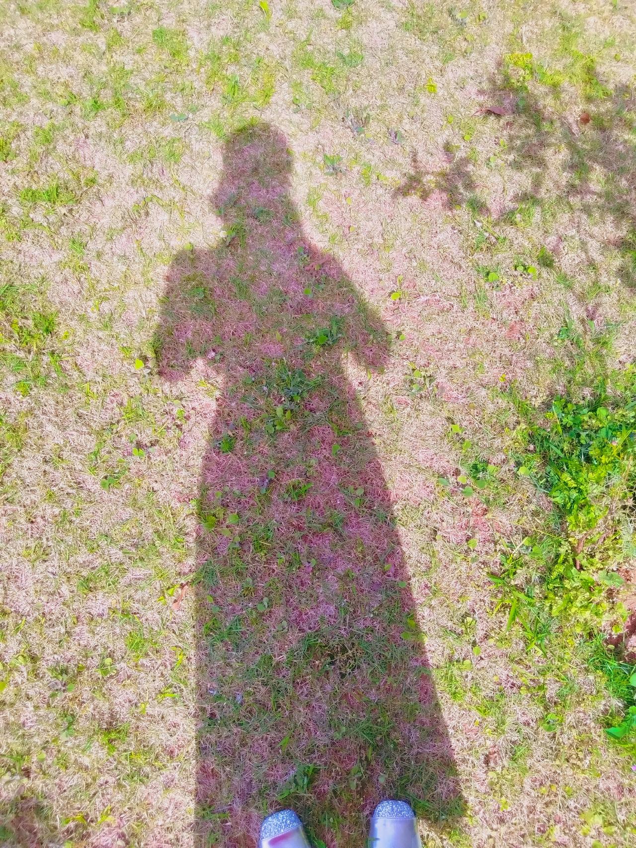 有时真觉得自己像这个世界的“吃瓜群众”。
生活一直过得很平静，没什么大起大落，大