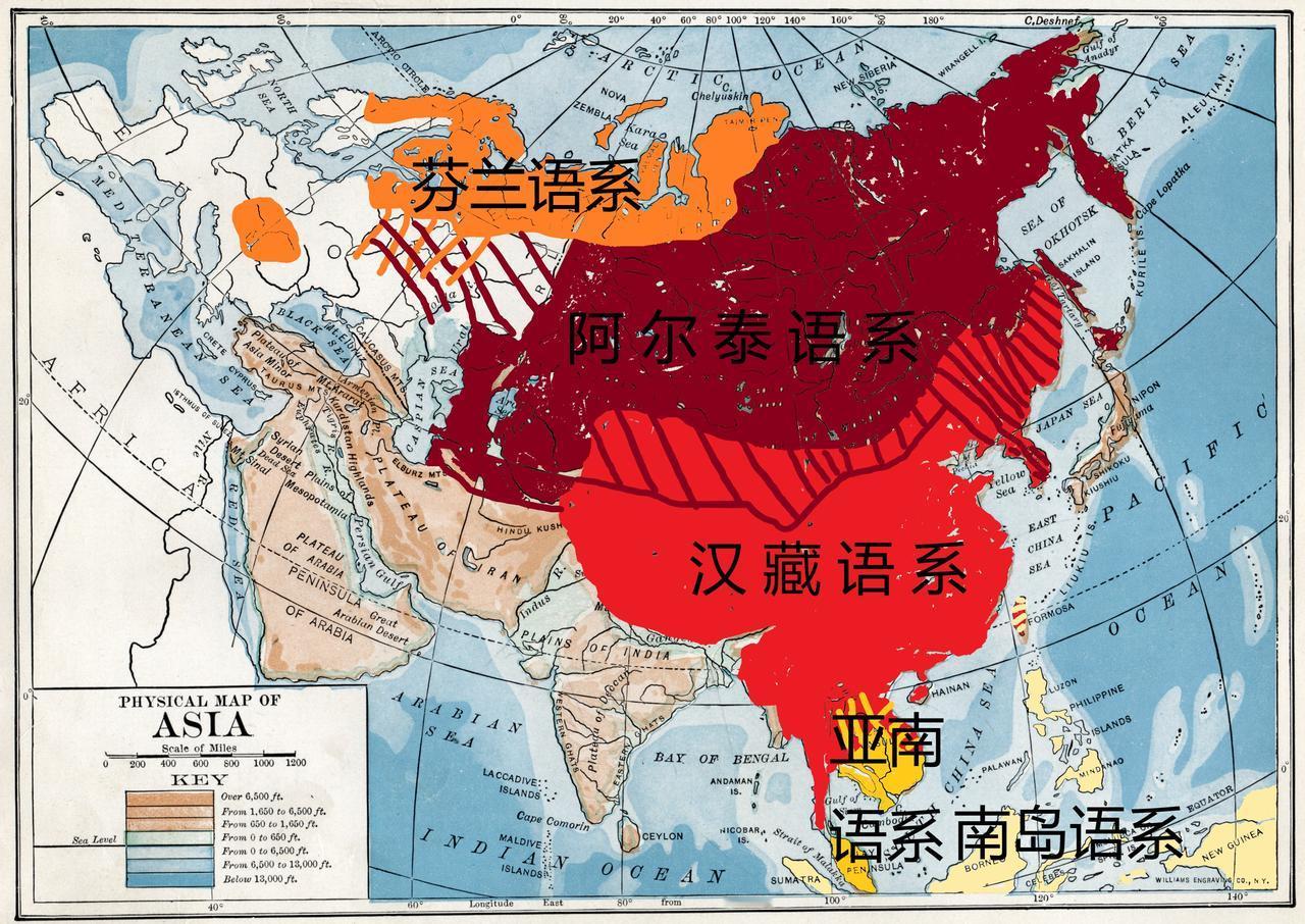 汉藏语系：发源于黄河流域，包含汉语族、藏缅语族、壮侗语族、苗瑶语族等语言
阿尔泰