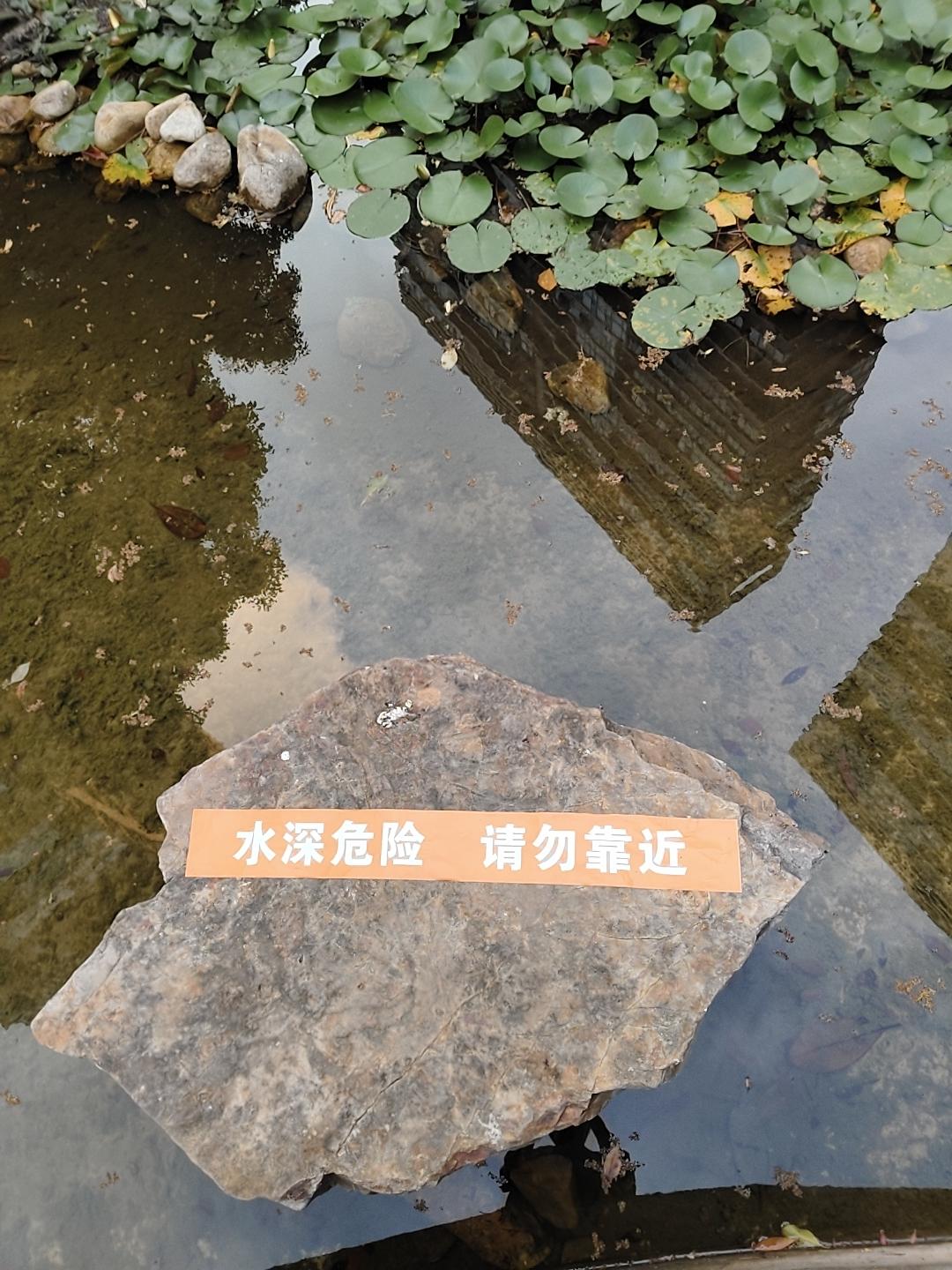 【这个世界很魔幻，这个周末有点慌乱，到底发生了什么？怎么一切都还随时都在变化美国