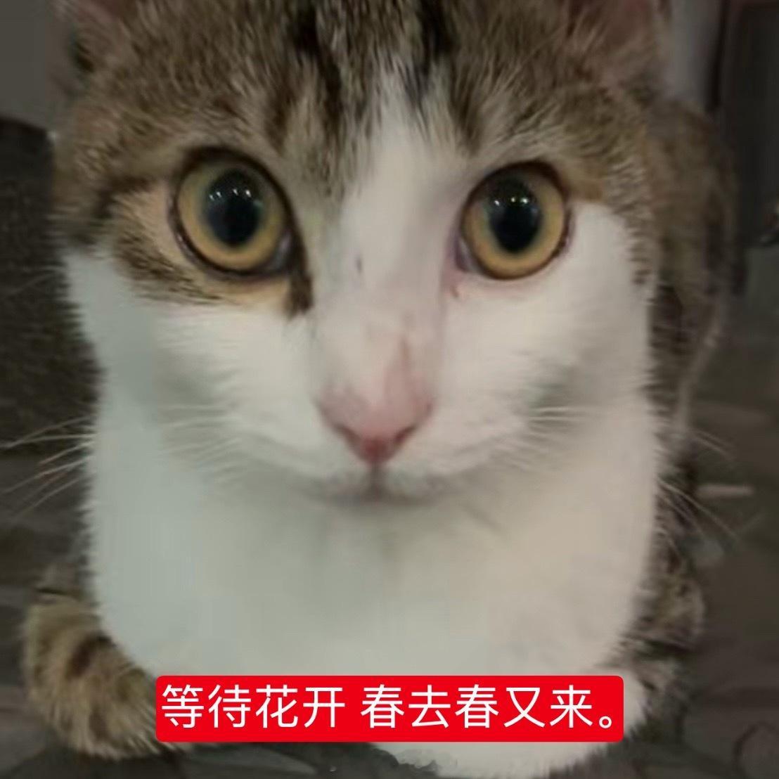 如果我后面两场都抢到了我今天晚上就把psi的小兔修出来 ​​​