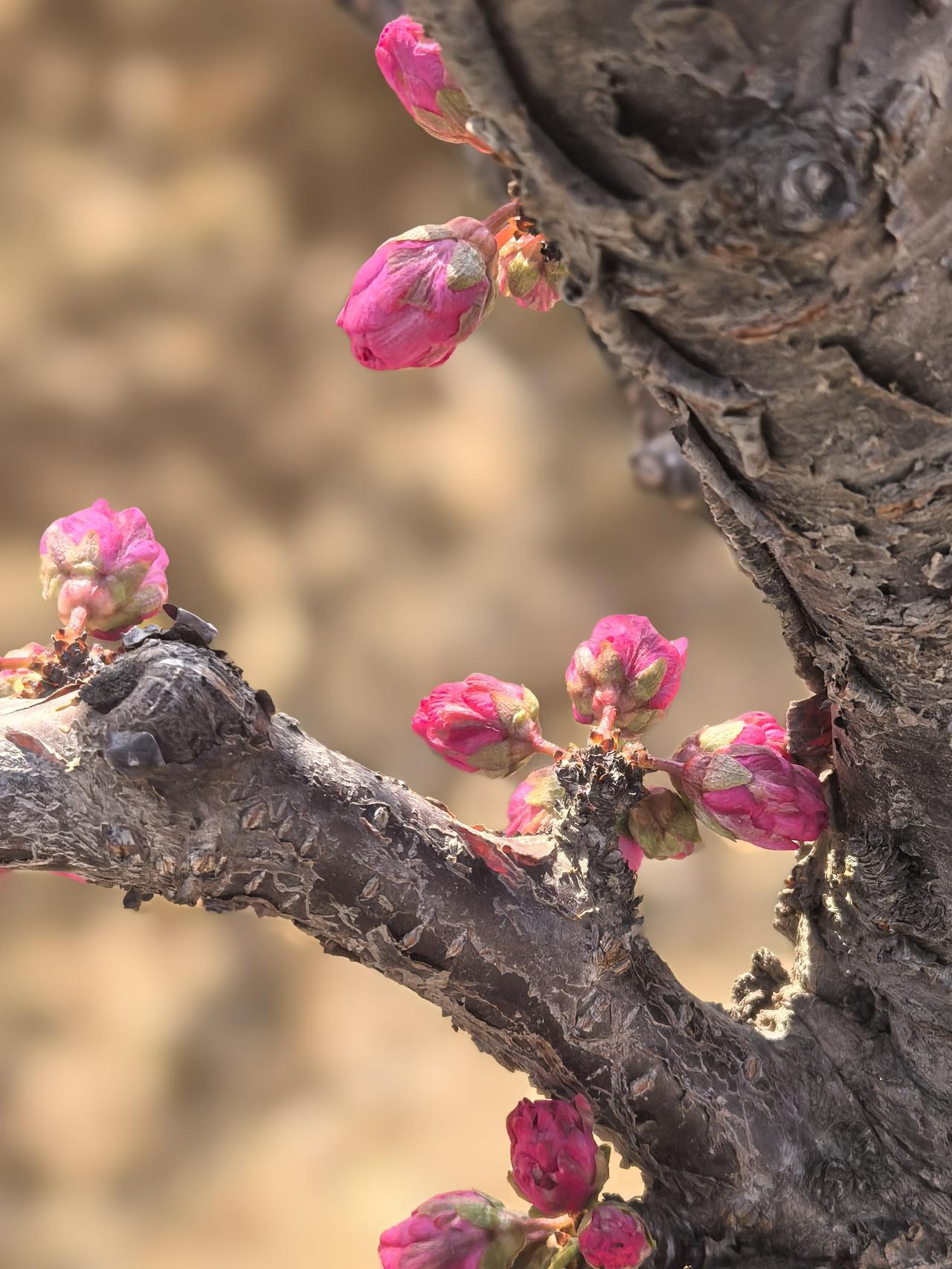 六好男人
1、好好睡觉，起居有常；
2、好好吃饭，饮食有节；
3、好好锻炼，负阴