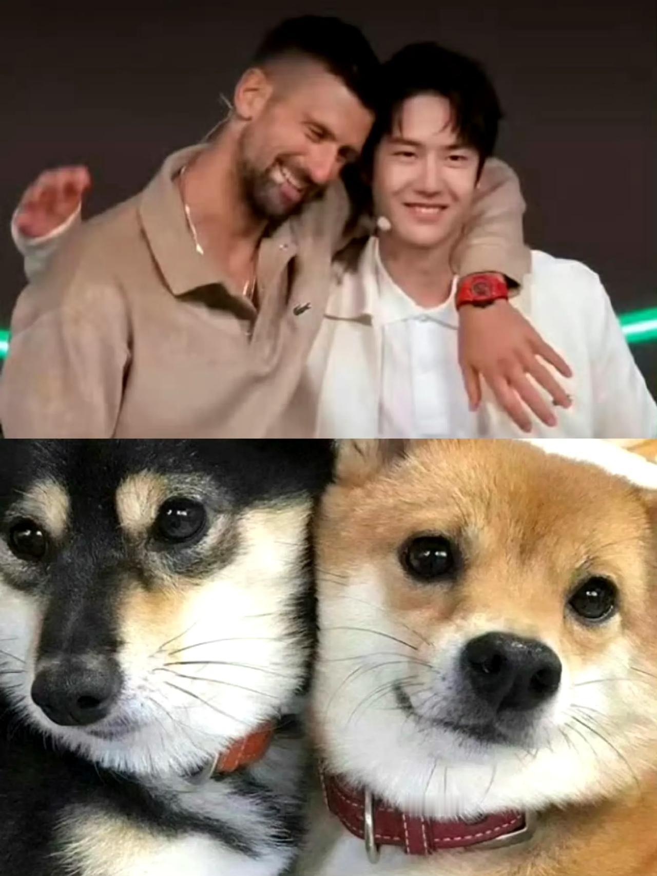 哈哈哈！只有对一博足够了解的才会找到如此神似的图片，网上都是人才！#王一博德约科