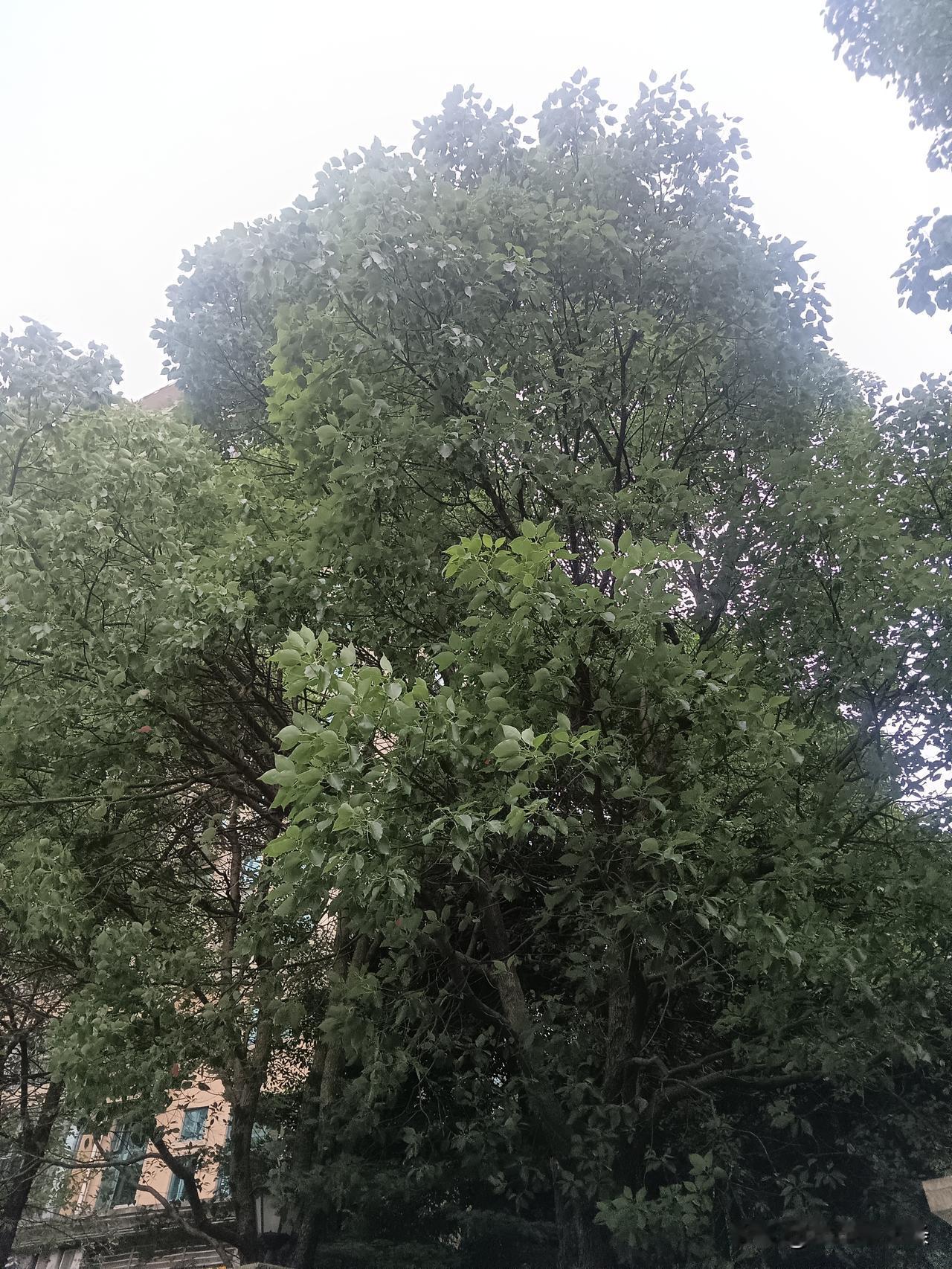 男主内女主外早已是过时的刻板标签。这套分工诞生于体力主导、女性受教育受限的旧时代