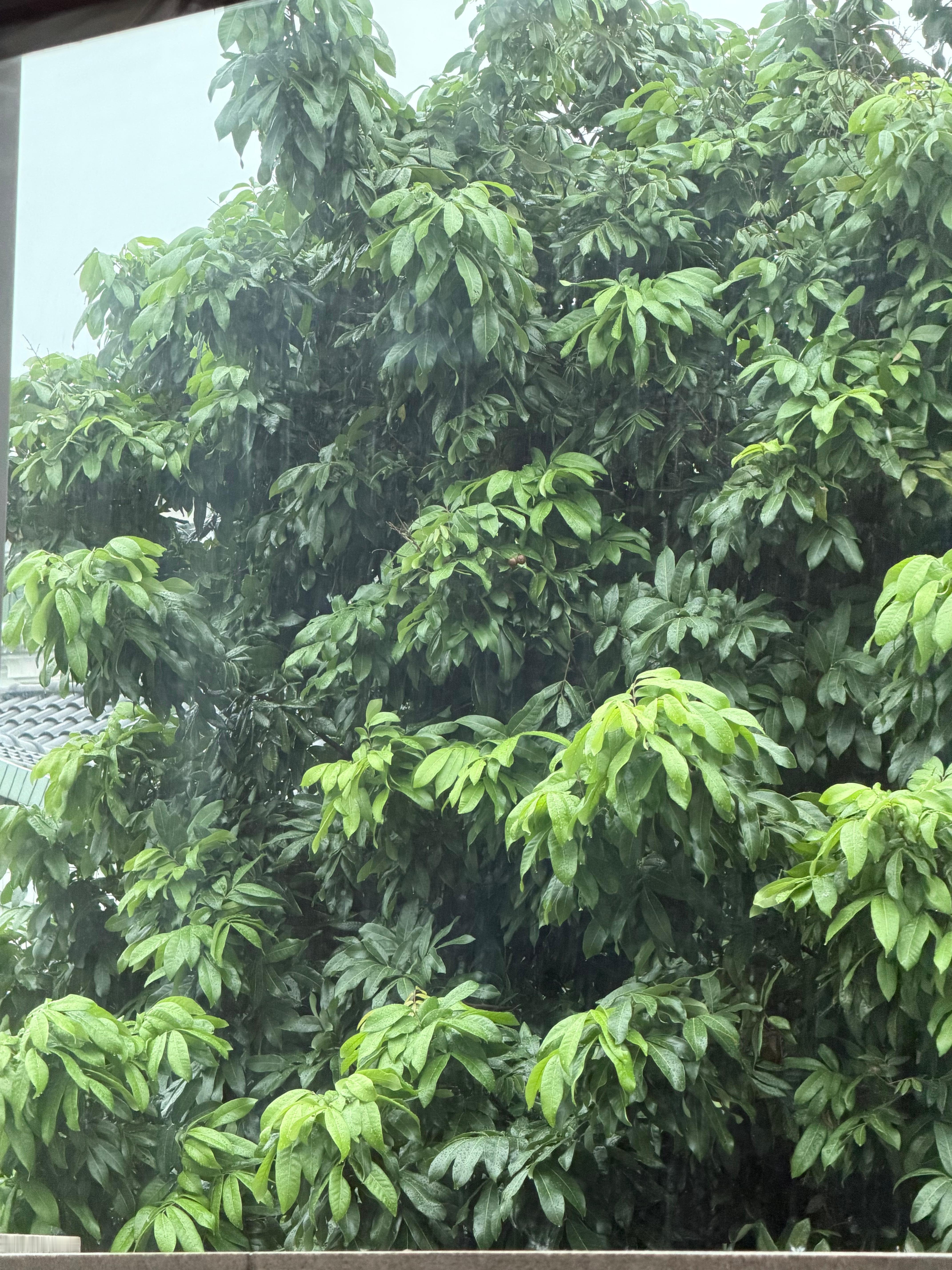 雨天刚看完台剧回魂计 和Mabel在这里讨论全剧的剧情 好多反转好多疑点  满脑