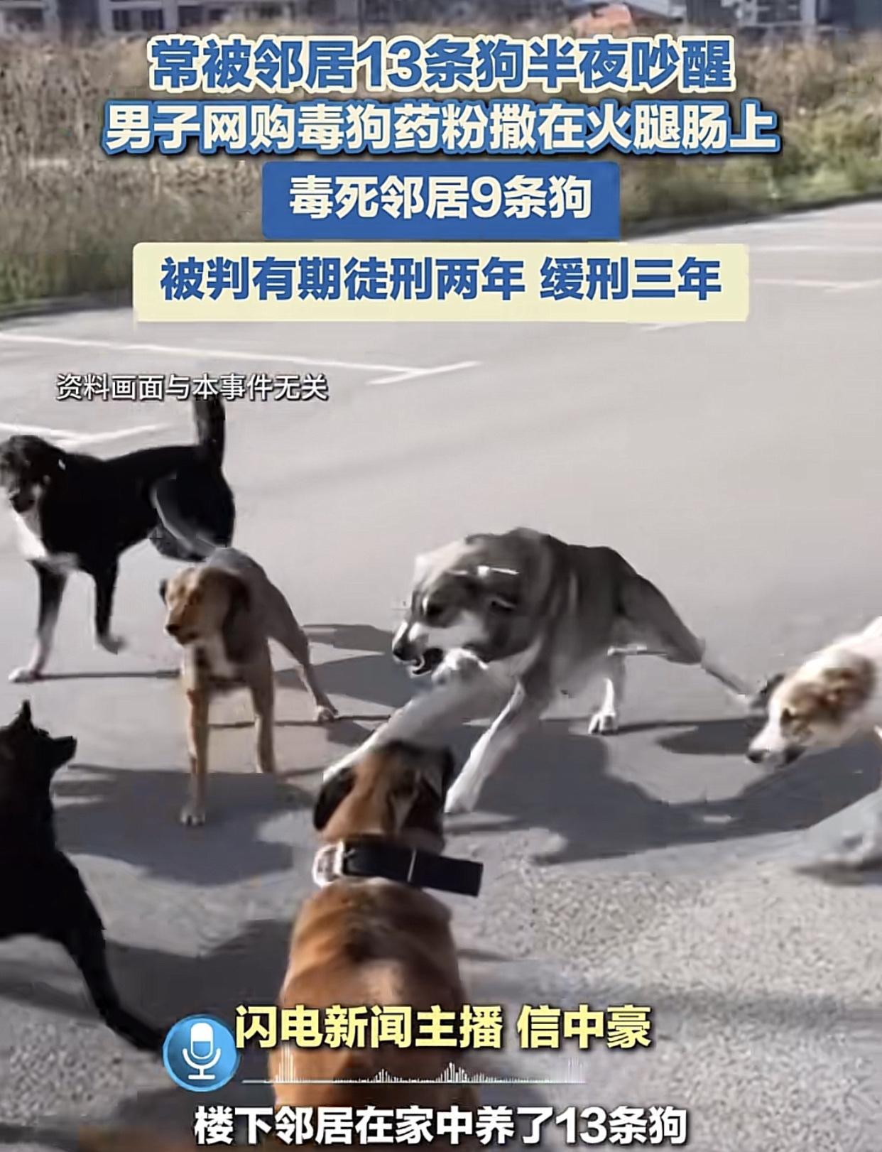 投毒，9条狗暴毙，法院：判两年！

内蒙通辽，男子因楼下养了13条狗，给生活带来