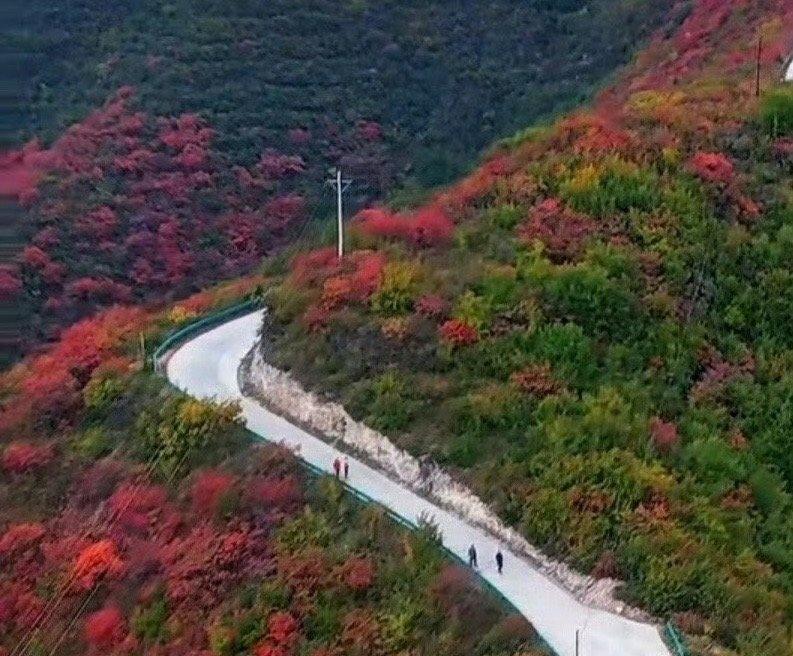 一不小心
季节的风
又一次吹翻了调色盘……