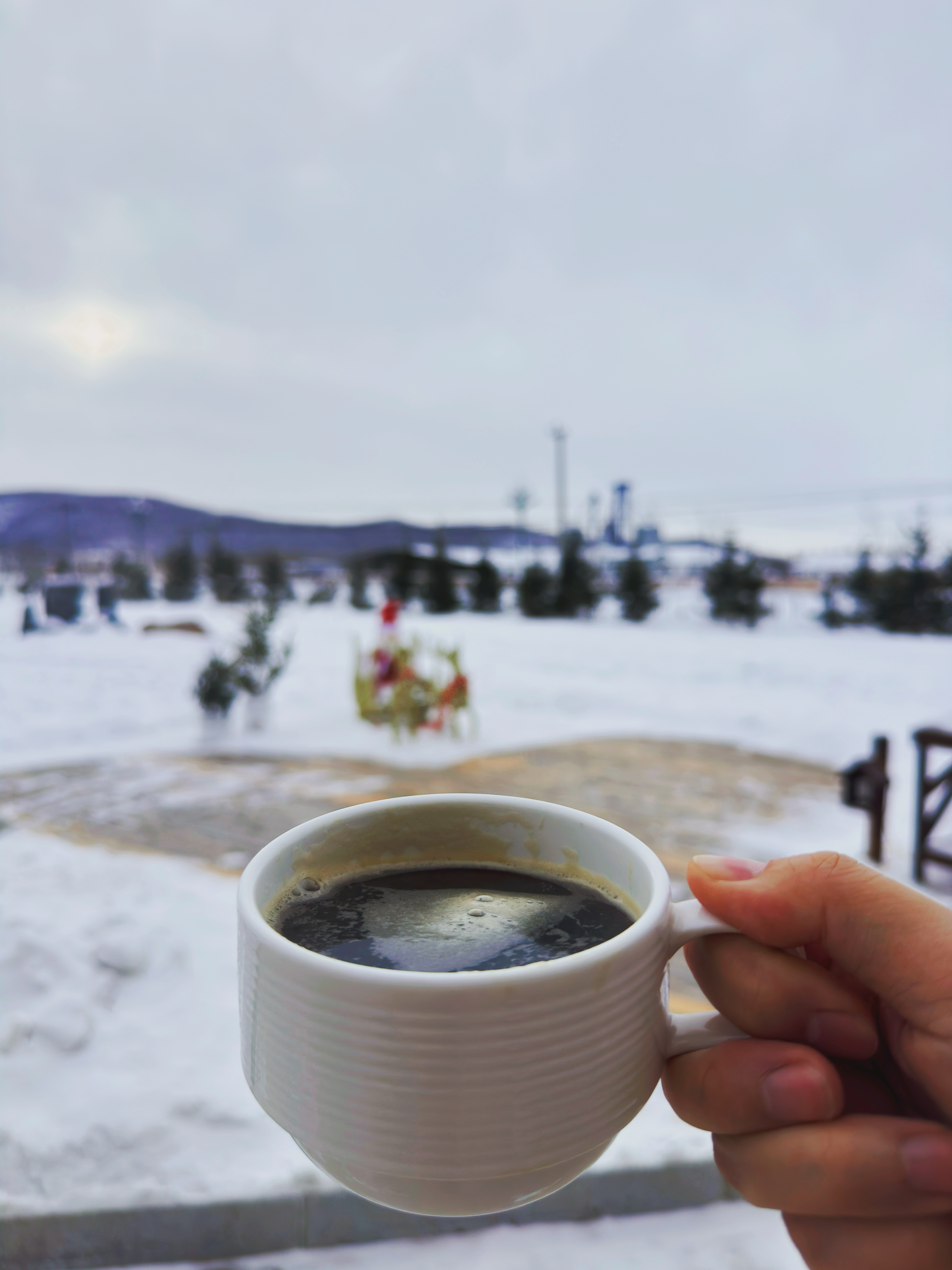 早早早 零下三十度搞杯咖啡再回别墅办公精神上海人永不认输！！！（户口也是上海（从