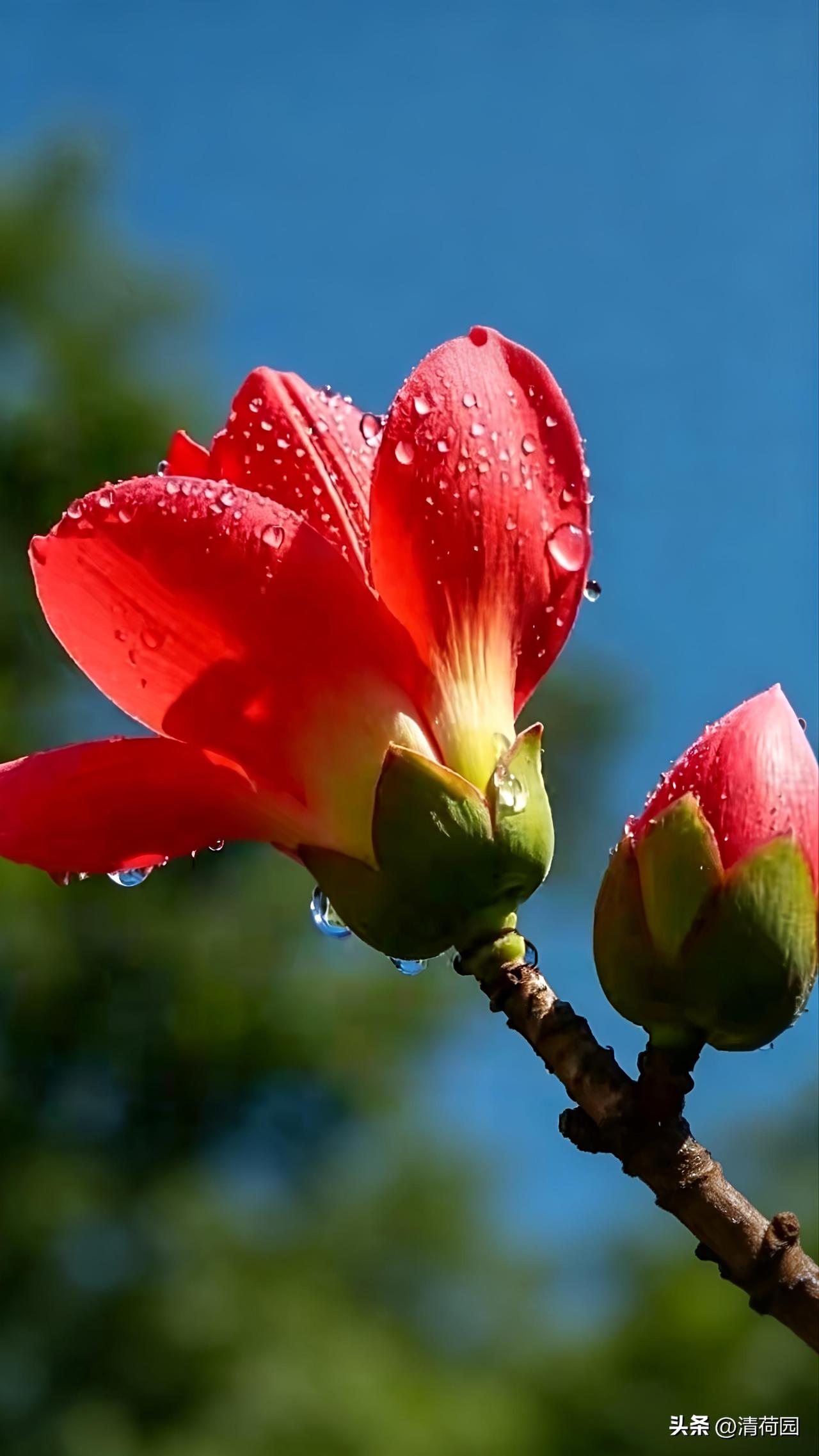 别拿“为你好”当枷锁，父母的“过度操心”正在批量生产“巨婴”

嘴上说着“为你好