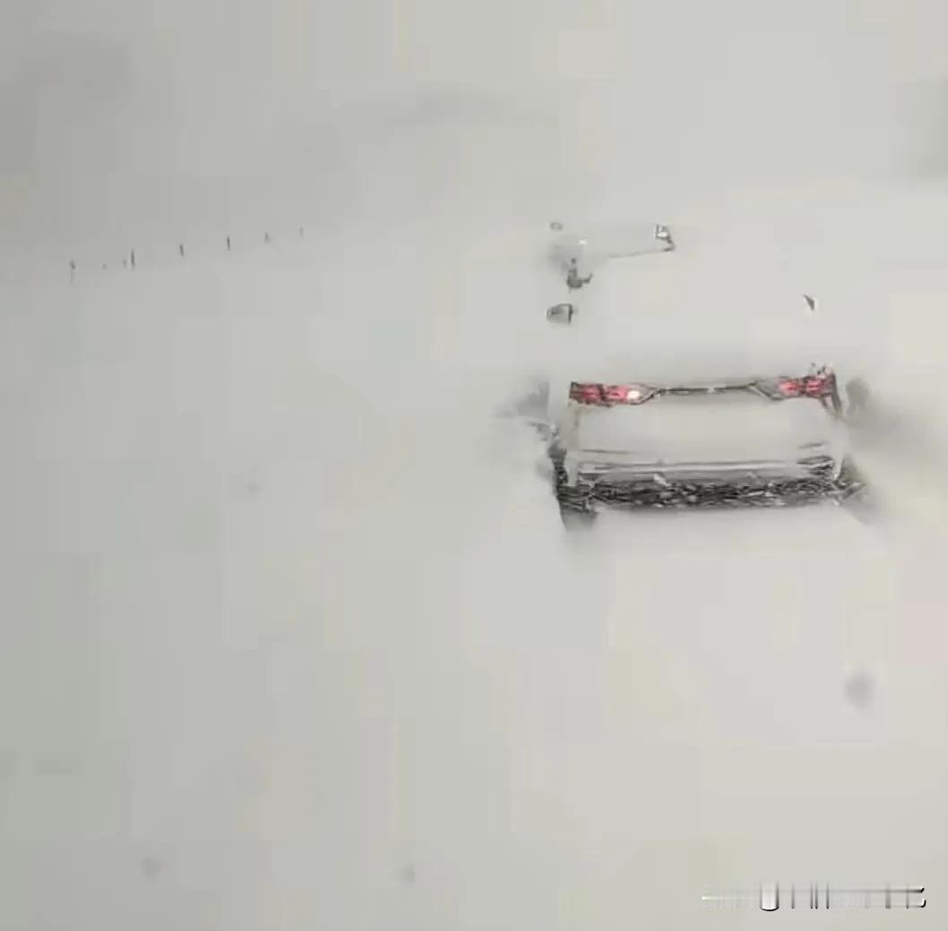 体验一下北方的大雪纷飞