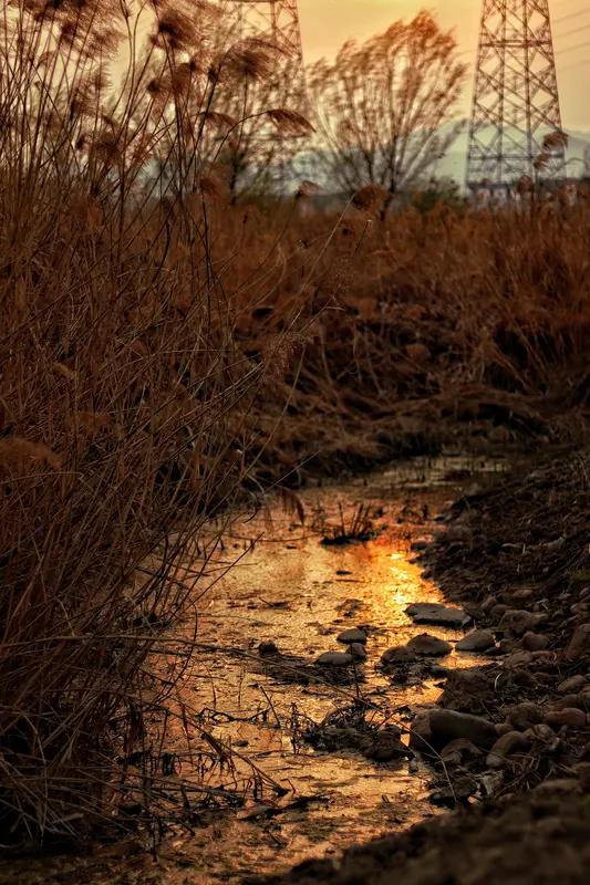 “远山漠漠寒烟外”这句很有意境，它常对“野水悠悠夕照边”。这一搭配相当妙，“远山