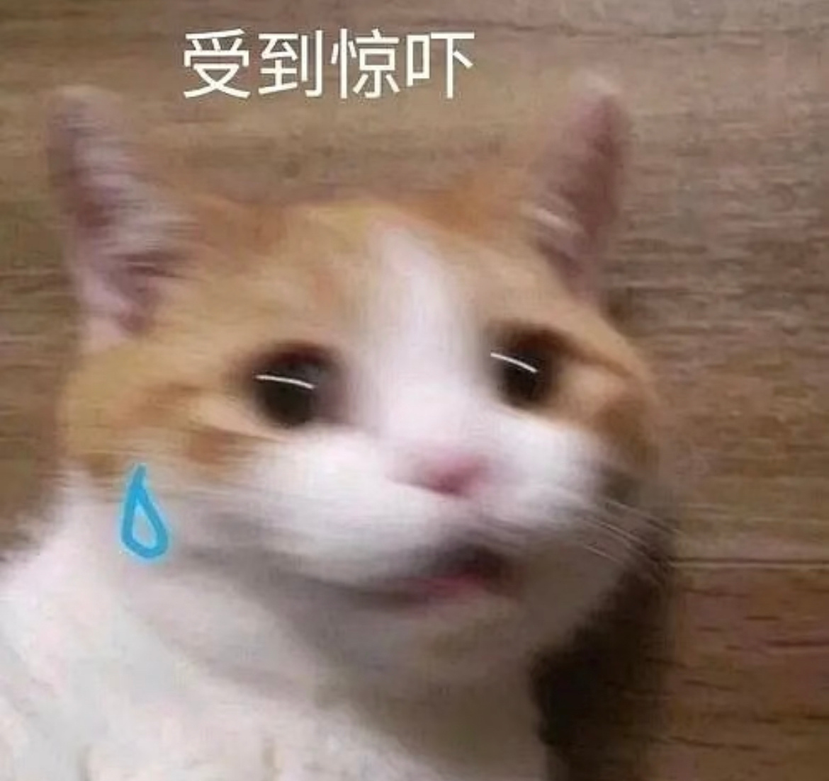 外卖餐食中有血迹顾客紧急服阻断药有被吓到….感觉到了今后吃包子、烧卖都要先翻过来