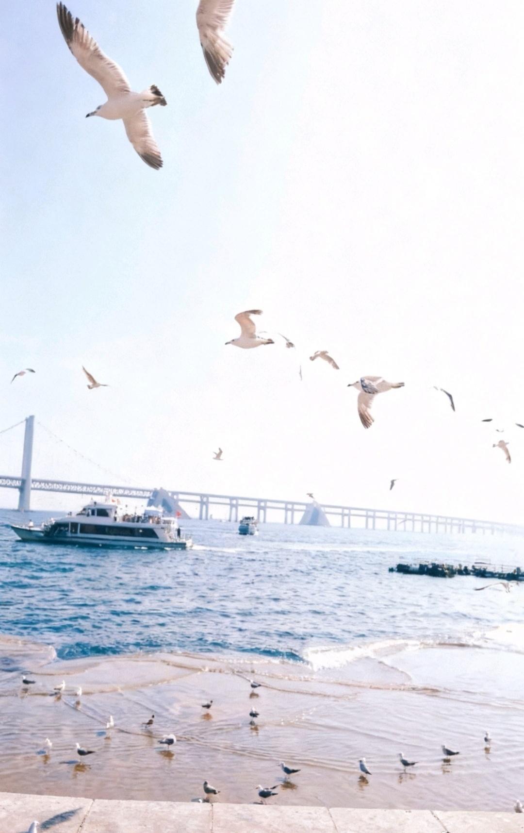 辽宁大连：海的浪漫