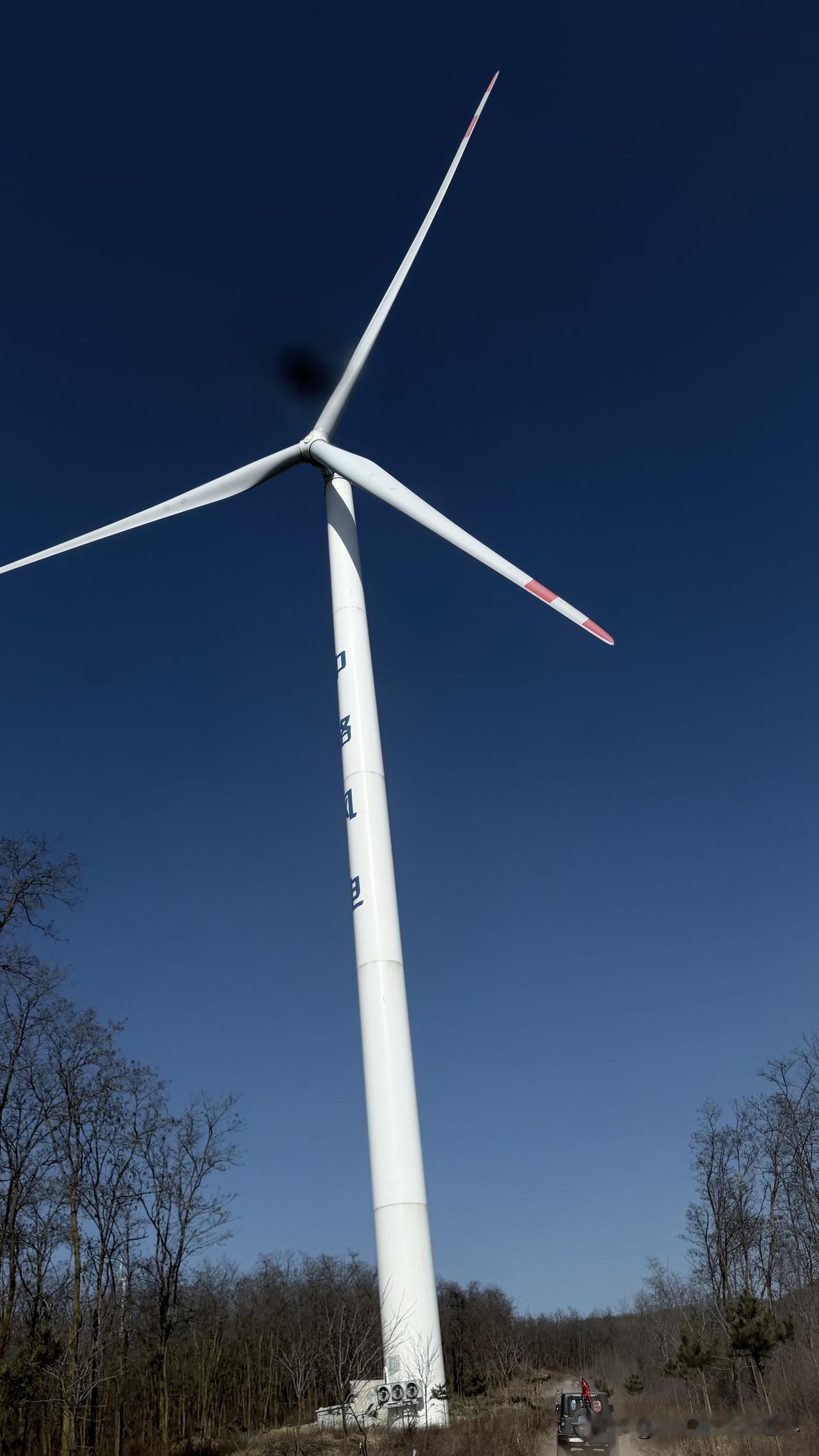 驱车钻进郊外的林间土路，一抬头就被这架白色风机撞进眼里。它笔直地戳在枯树之间，三