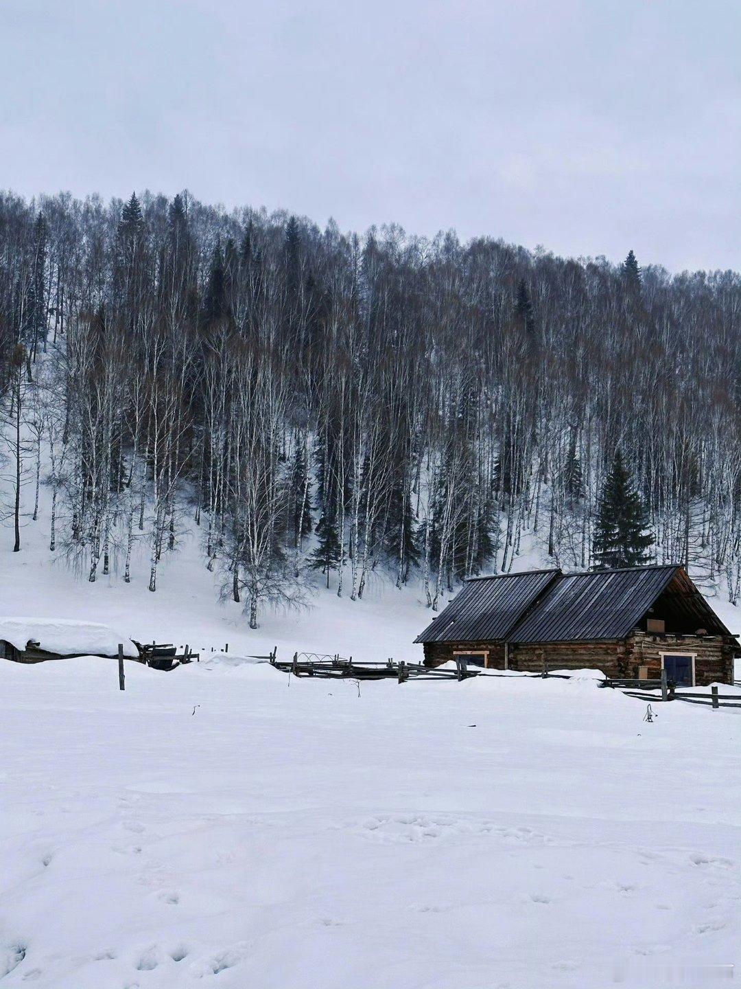 那些我们共振过的夏天，约等于永远。——闪灵《爱是一千座火山负雪》 