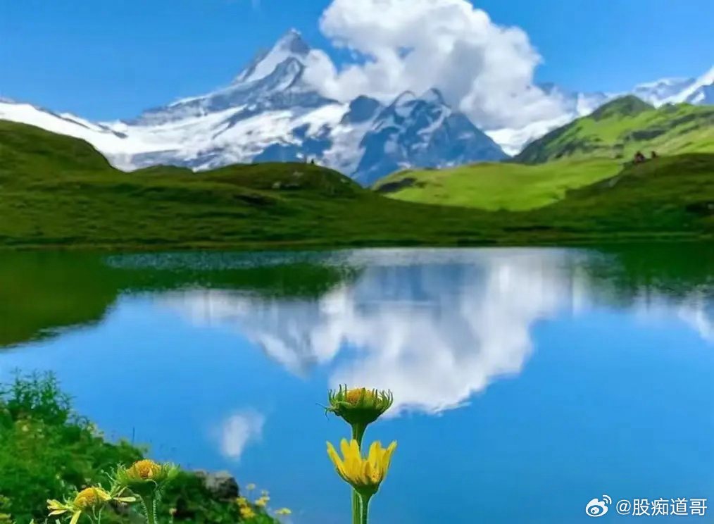 老登股逆势大涨！高低切换，铁树开花。今天大盘不出所料高开低走，指数震荡走弱，不少