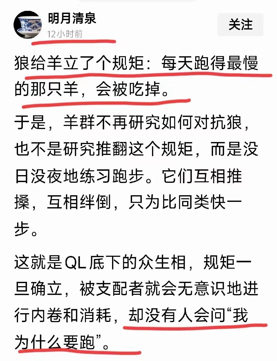 不生也是一种善良。
不婚更是一种幸福。
