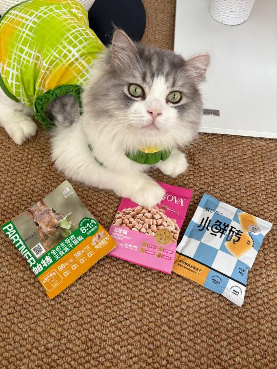 夏天好喜欢这种小包装冻干啊！！