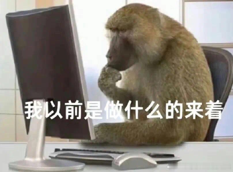 最尊重猴的剧组出现了 片尾猴子演猴子还标"无猴受伤"，我笑到拍大腿！喝咖啡打印那