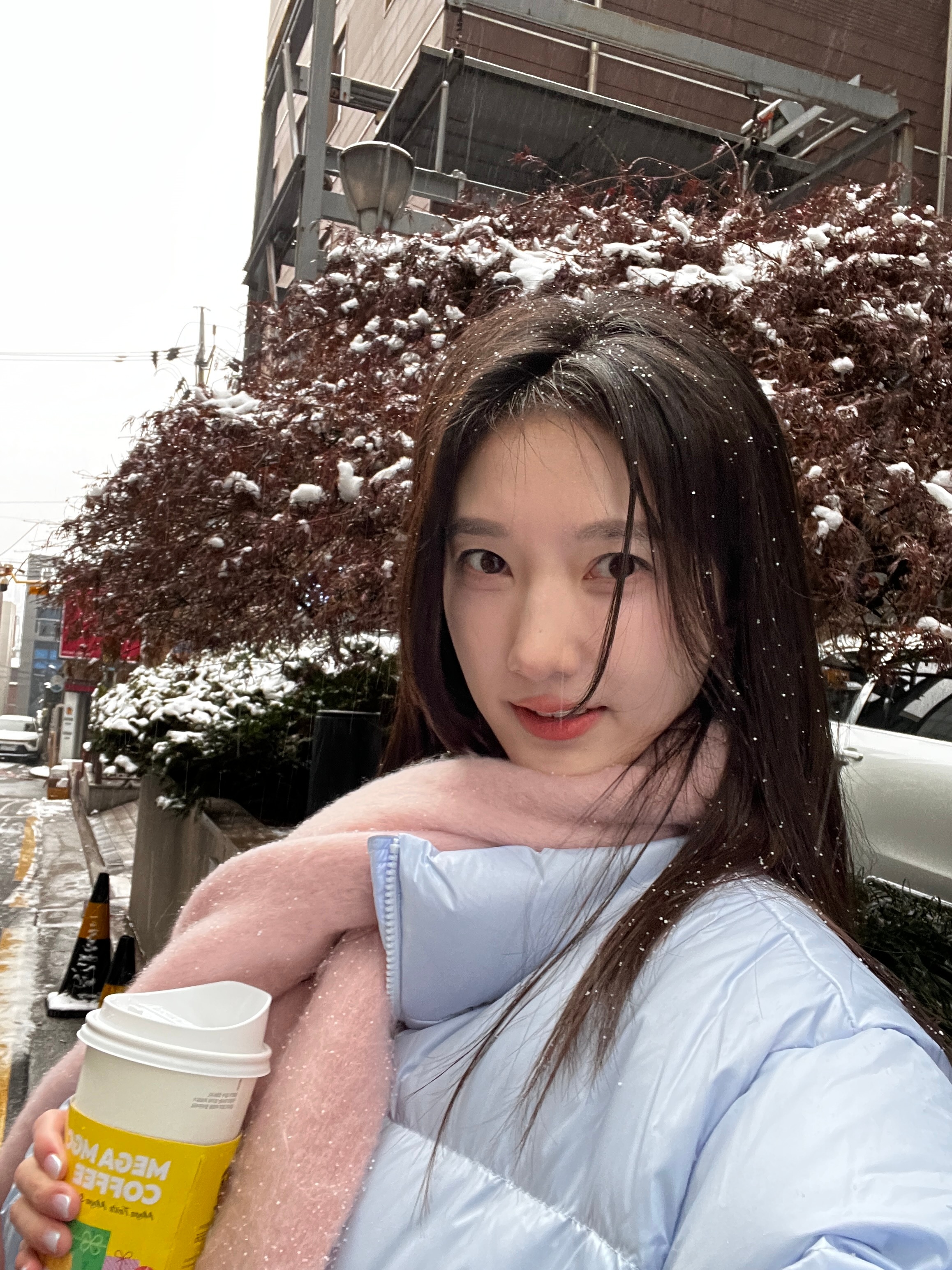 新春快乐❄️新的一年勇敢 温暖 顺利 