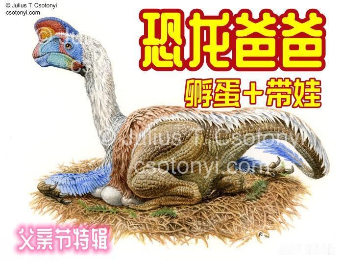 恐龙爸爸也会孵蛋带娃！颠覆你对史前巨兽的刻板印象
  提到恐龙，很多人脑海里都是