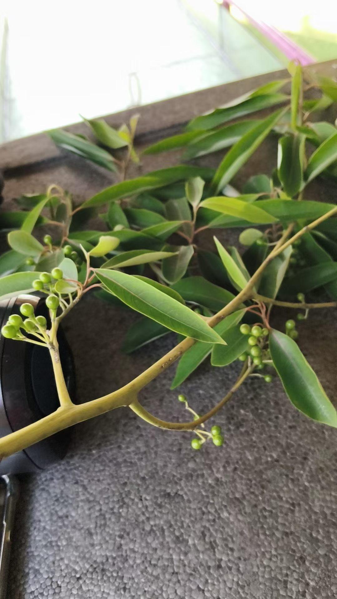 过了50岁的你，到底应该怎么活着？

1、小时候吃爸妈给你的苦，长大了吃走弯路的