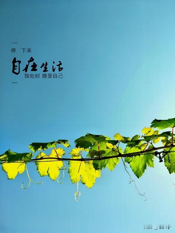 有人觉得追求知识是终极意义，像牛顿探索自然奥秘，推动科学进步；有人认为爱与被爱是