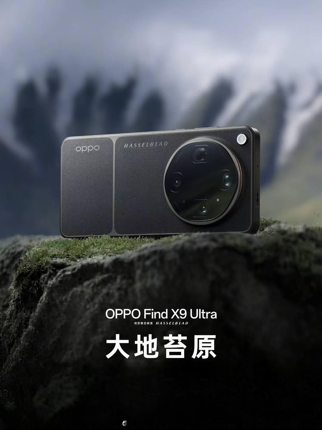 太喜欢这个大地苔原的版本的，可手中的N6还没满月，这可如何是好？OPPO Fin