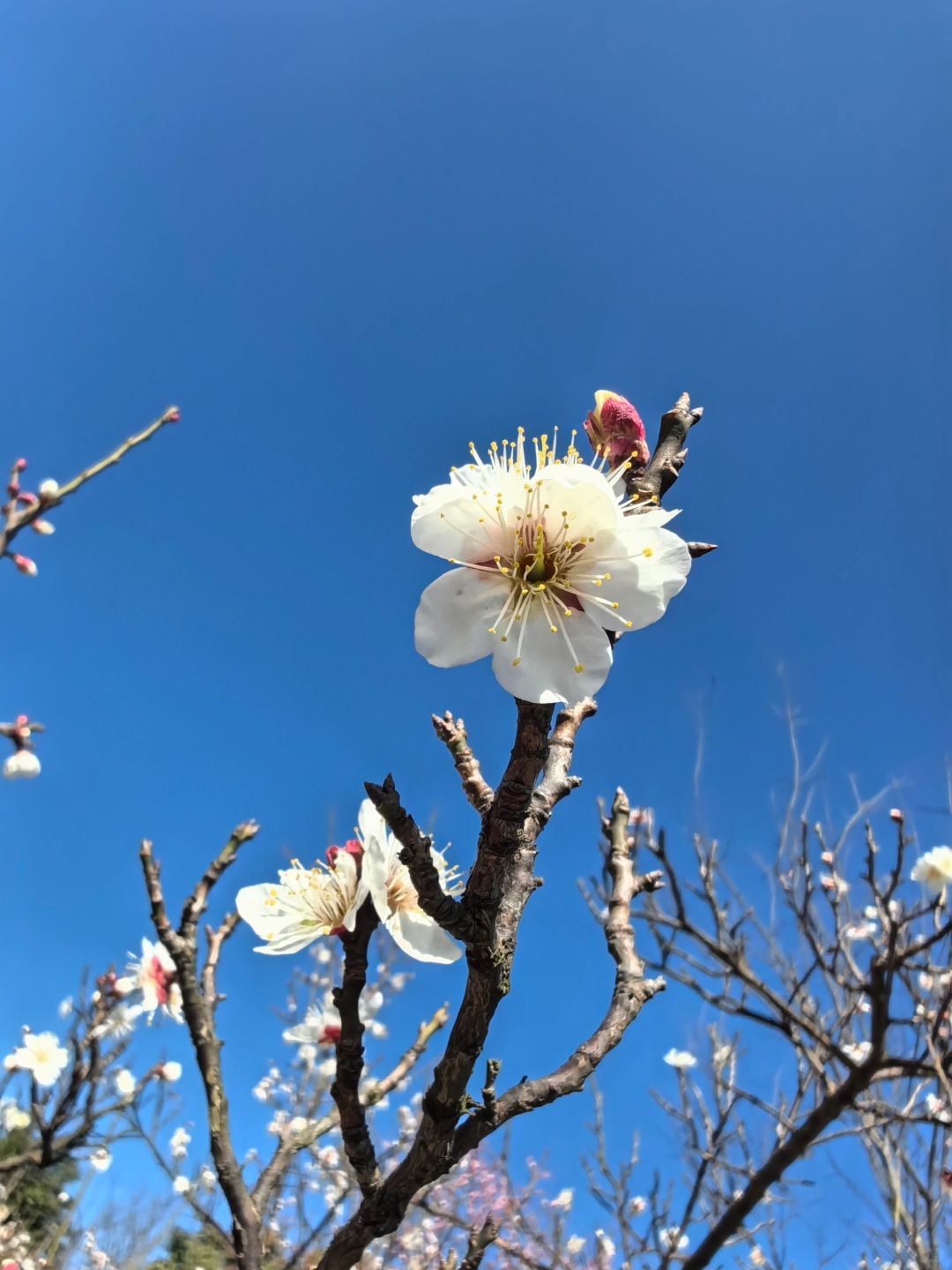 春日养胃，先从“动”开始