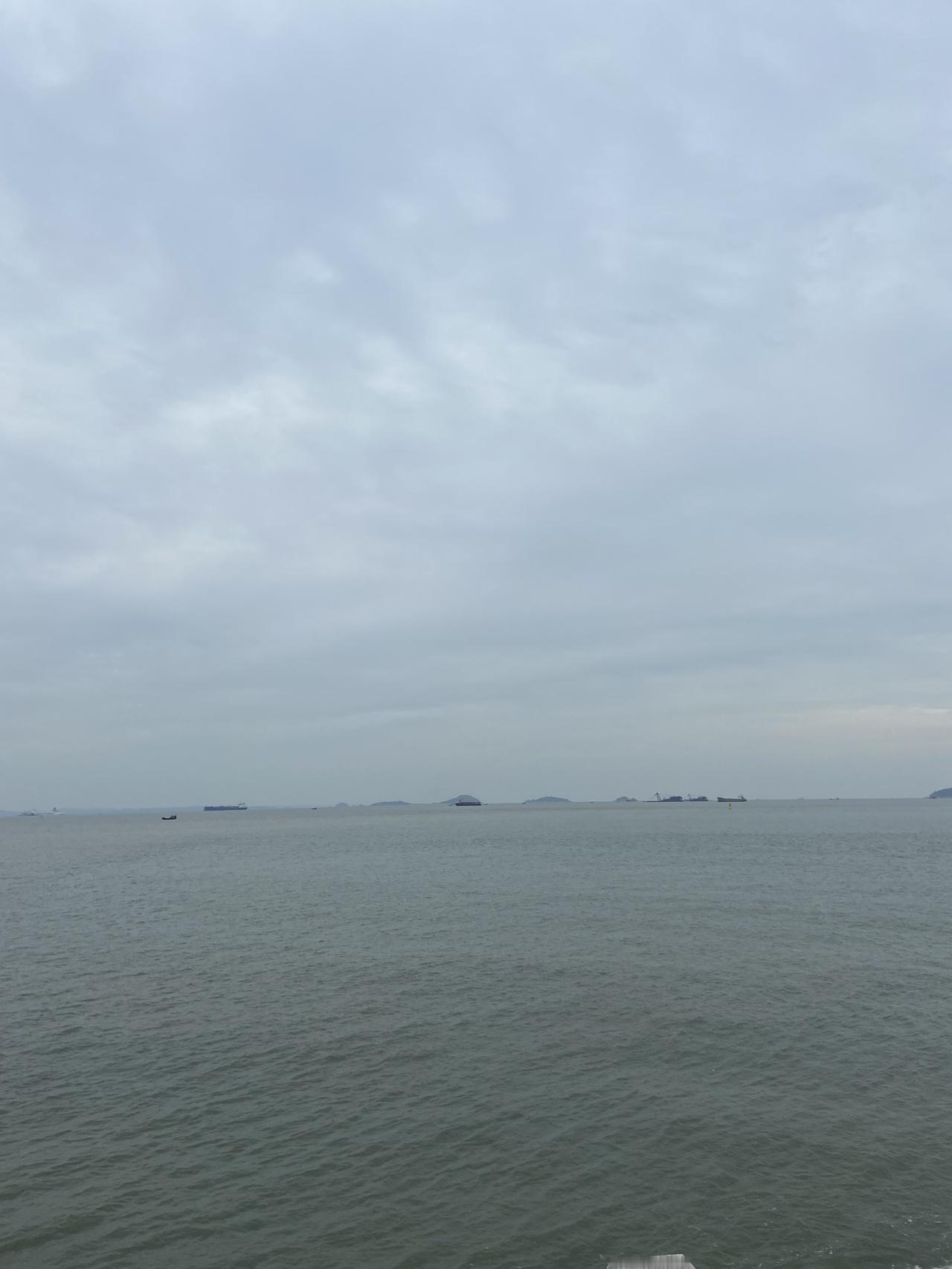 新手铲屎官别慌！养狗就像养孩子，记住这三点就够了！

那天我把旺财抱回家，它缩在