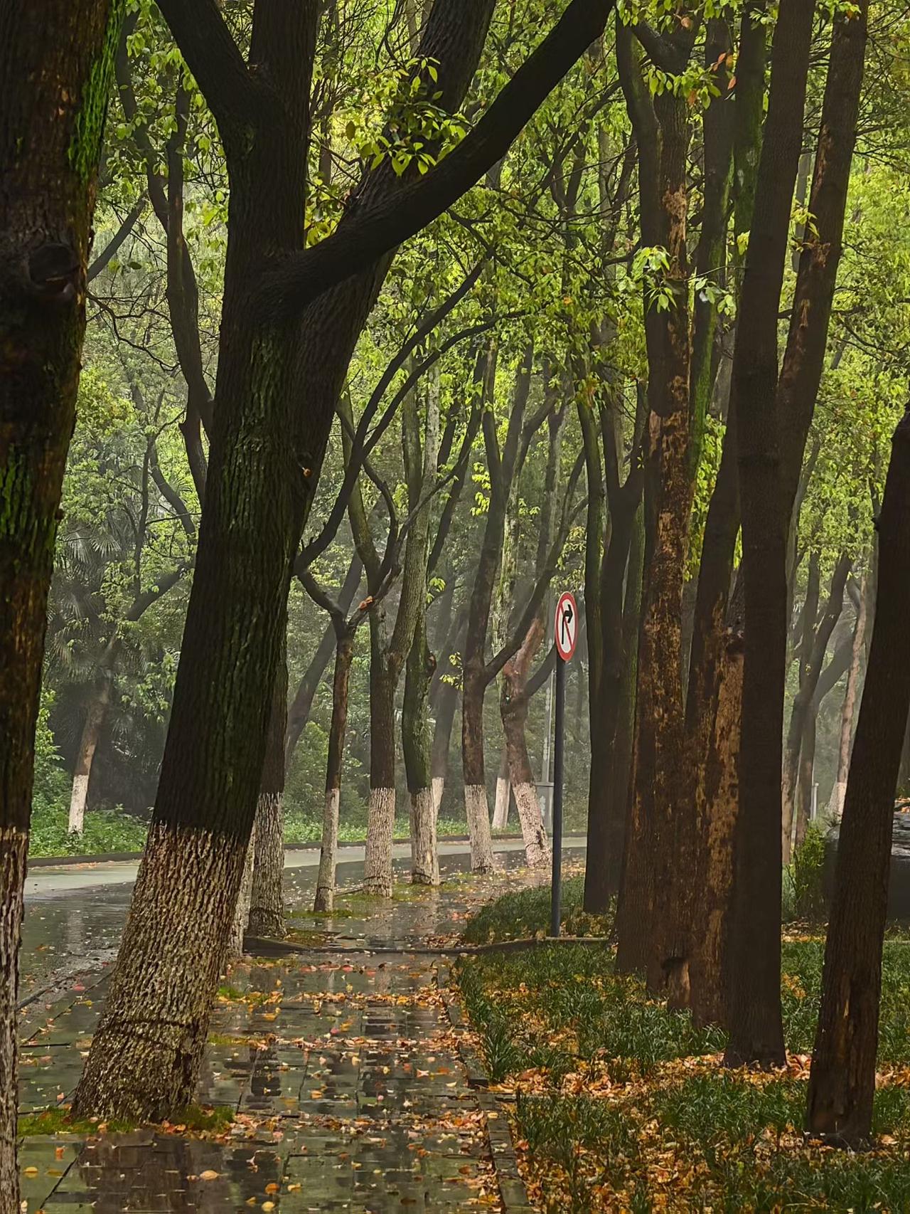 每一个创作者，都会遇到这一天。坐在桌前，脑子一片空白。键盘就在手边，但一个字都敲