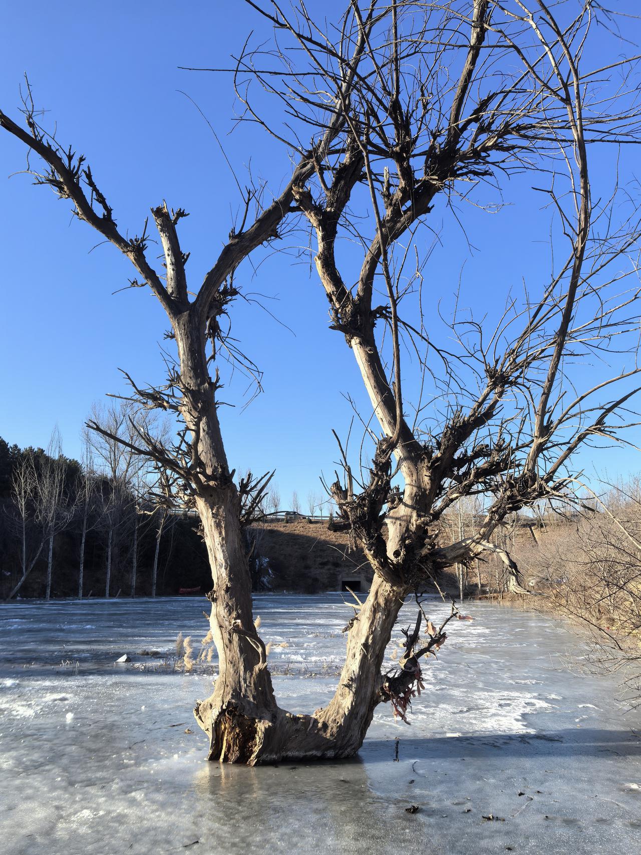 随手拍一张美景