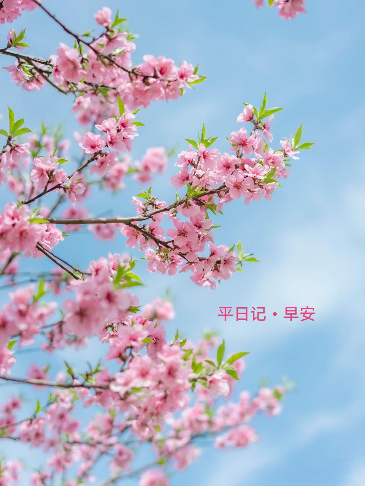 平日记•早安

成为你自己。

我们终其一生寻找的，应该是自己喜欢的生活方式和想