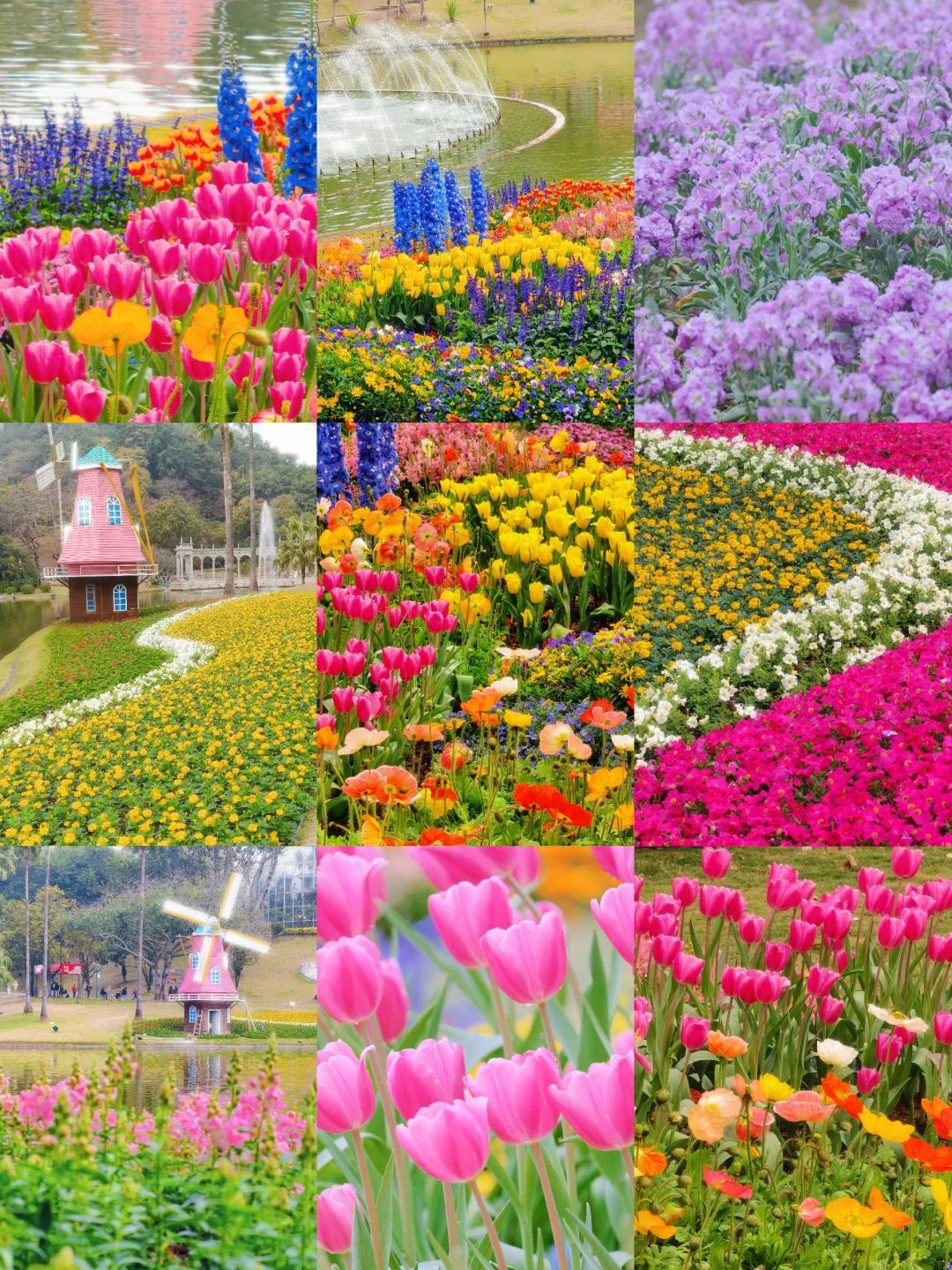 春日里的莫奈油画🖼️2.5云台花园太美啦