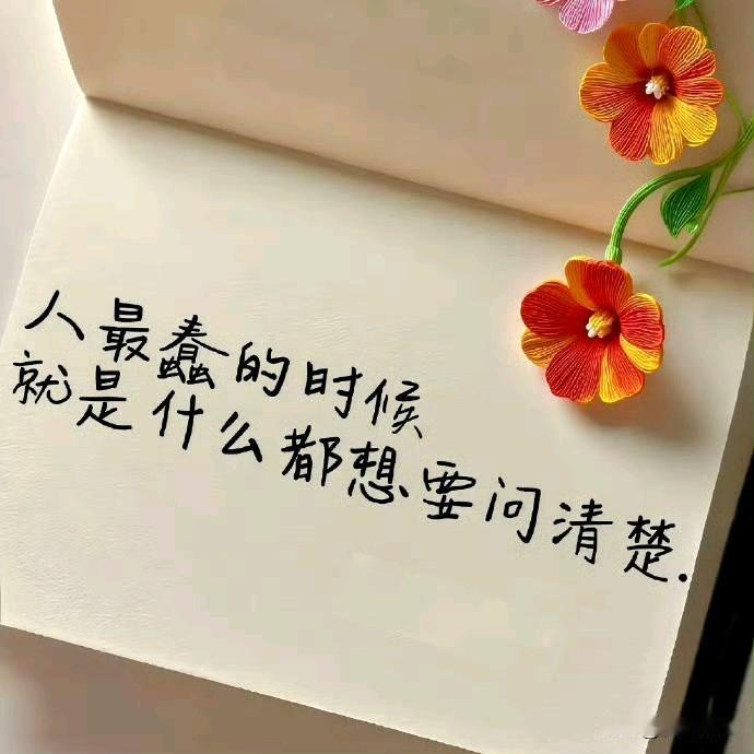 人性最大的丑恶，
总结起来便是：
恨你有，笑你无，
嫌你穷，怕你富。
这世间不少