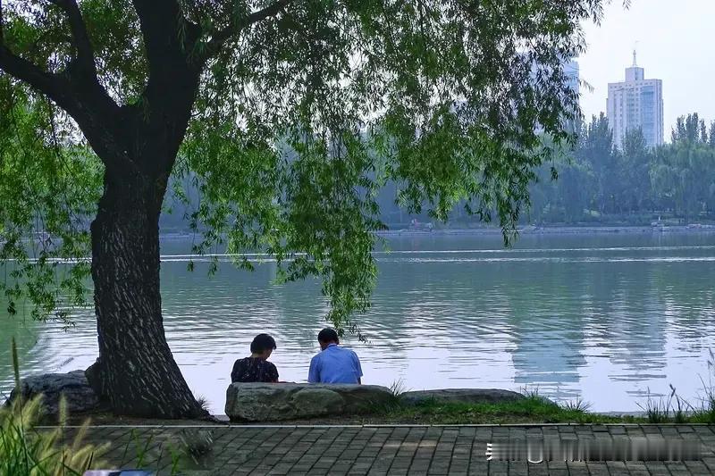 暮年续，七律《豁达自适》
莫叹桑榆晚景残，
晴霞漫染碧云天。
身经世路风霜久，