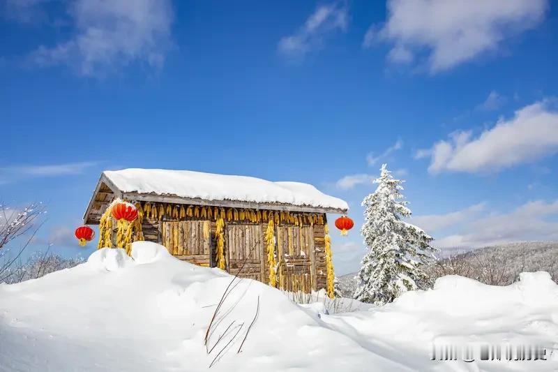春节到，天南地北共拜年！东北围炉吃饺，南方包汤做腊，少数民族载歌载舞。声声祝福跨