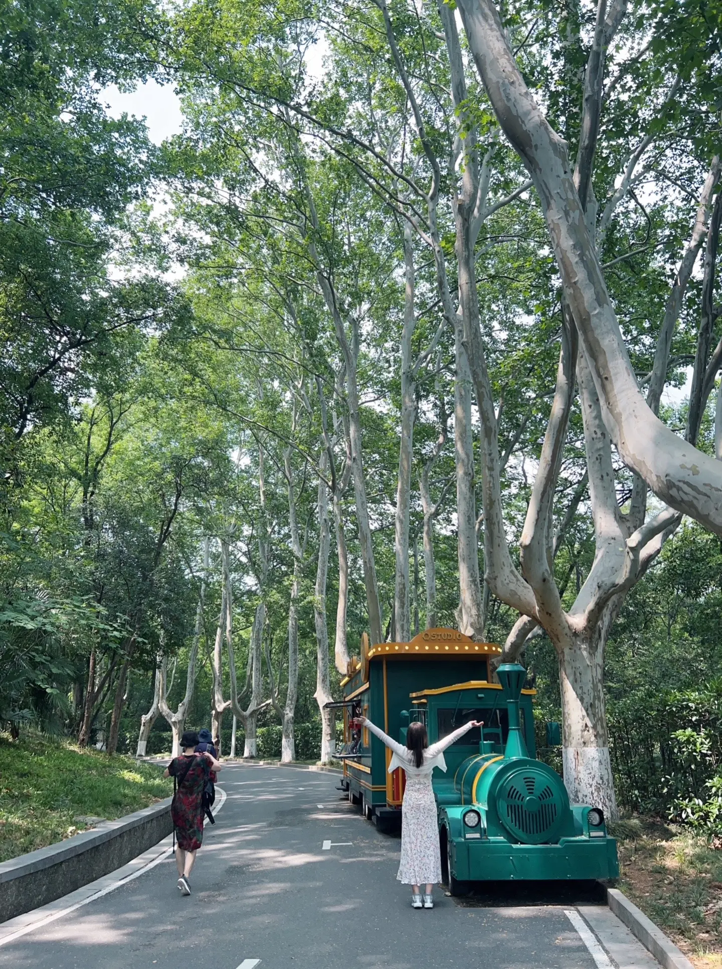 钟山风景区 大报恩寺