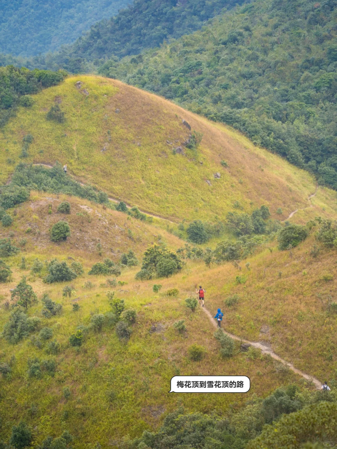 黄梅雪后+五子登科（一） | 华南名山录