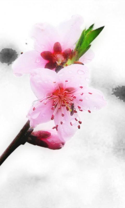 科技行情正热，下周还有哪些趋势板块值得关注！
当前，A股市场科技行情如火如荼，但