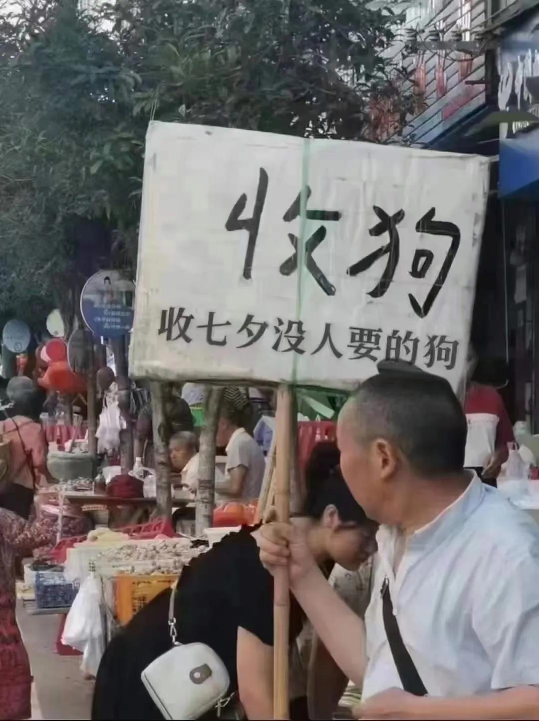 花影纷繁并肩行。