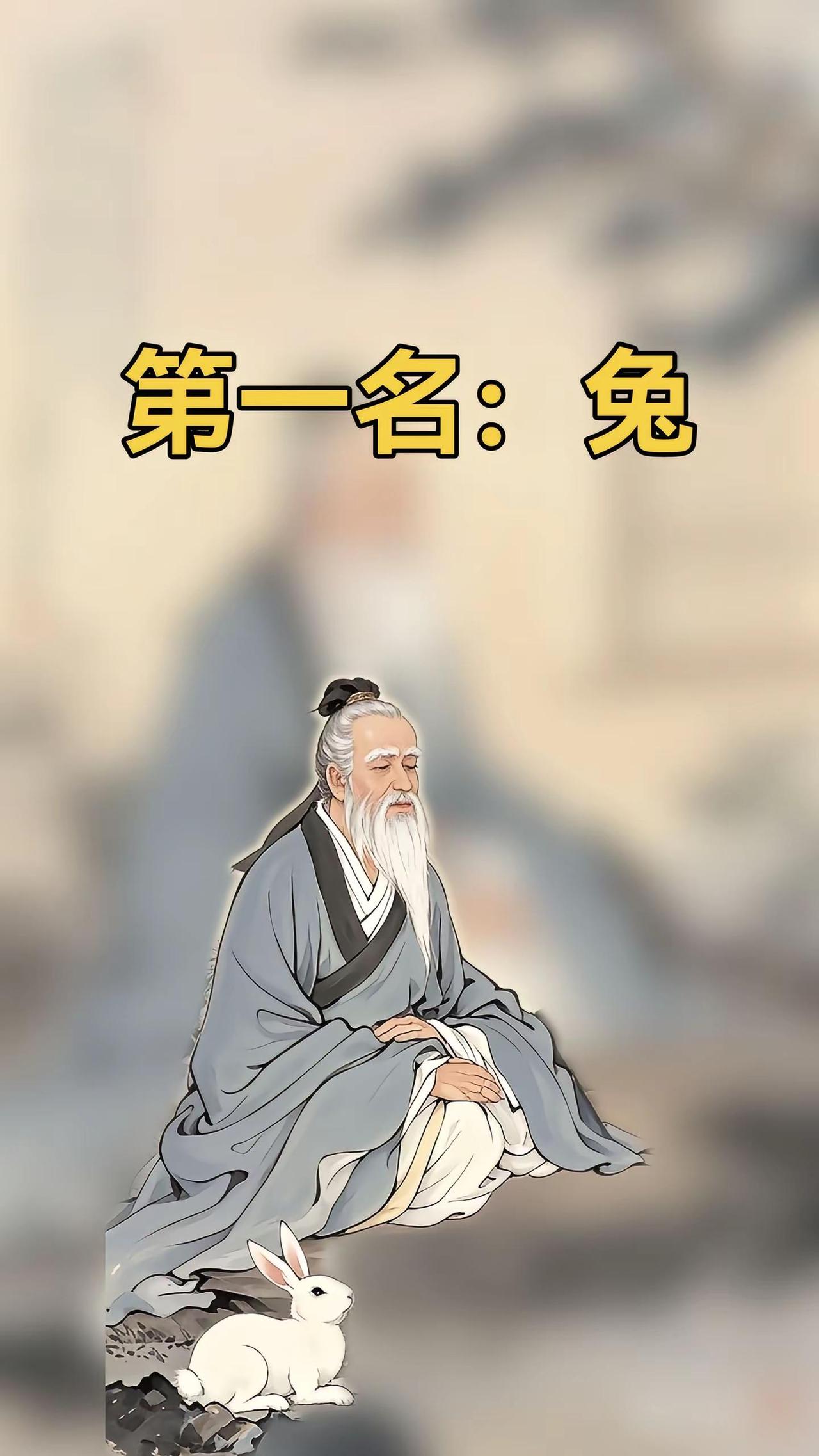 63年的兔 75年的兔 87年的兔子