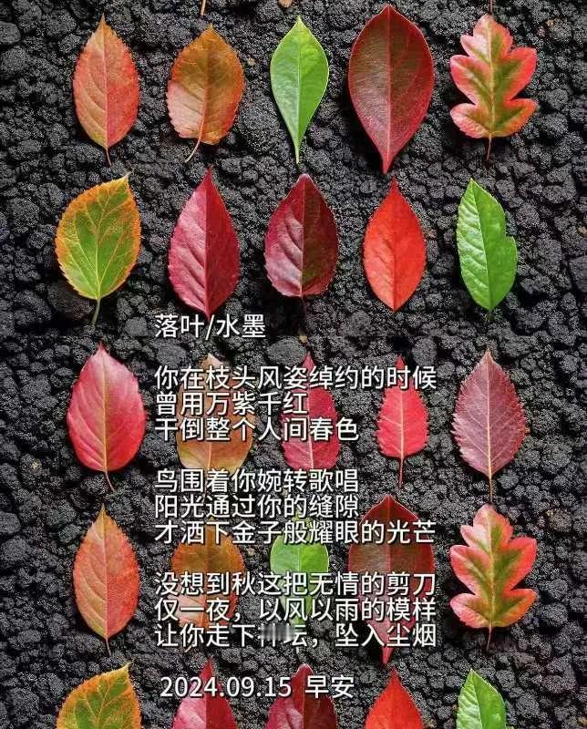 六十多岁老男人的诗，和余秀华，贾浅浅的诗相比，如何？？！