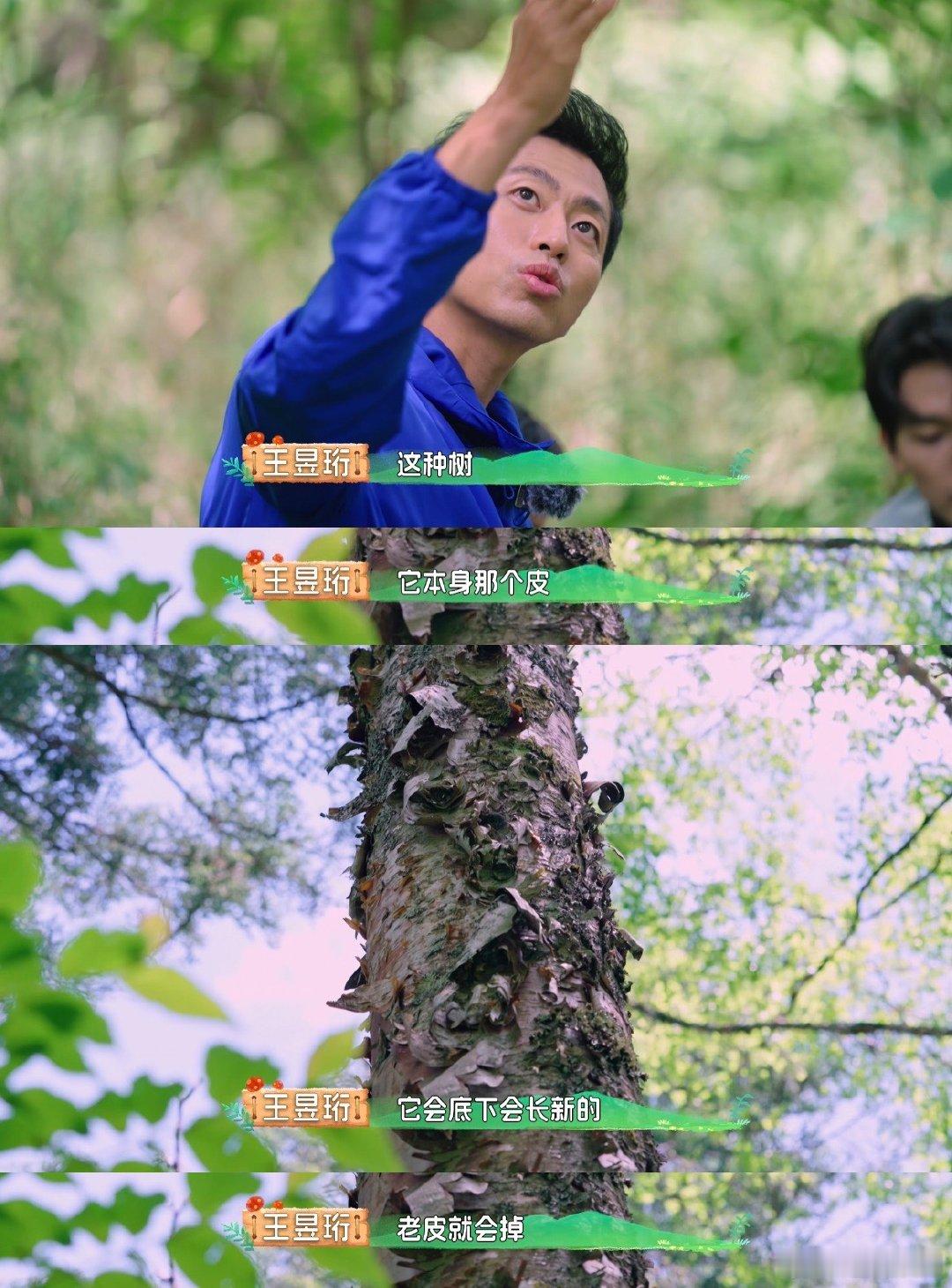 #自然学院林开播#我的天哪，这么多可爱的宝宝真的是太让我喜欢了呀，大家真的一个比