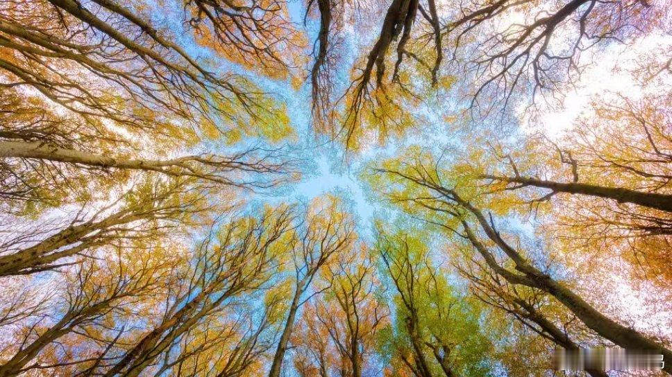 尽量不给别人添麻烦是成熟人越往后走，越知道一件事：别人愿意帮你，是情分，不是义务