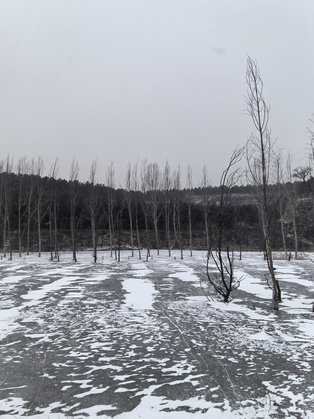 分享你相册里最近的一张照片贪如火，不遏则燎原；欲如水，不遏则滔天。莫算贪腐的‘经