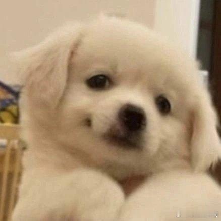 #贵州村超硬控球迷#村超真的是一个很好的宣传方式，不仅锻炼了身体，还发展旅游业！