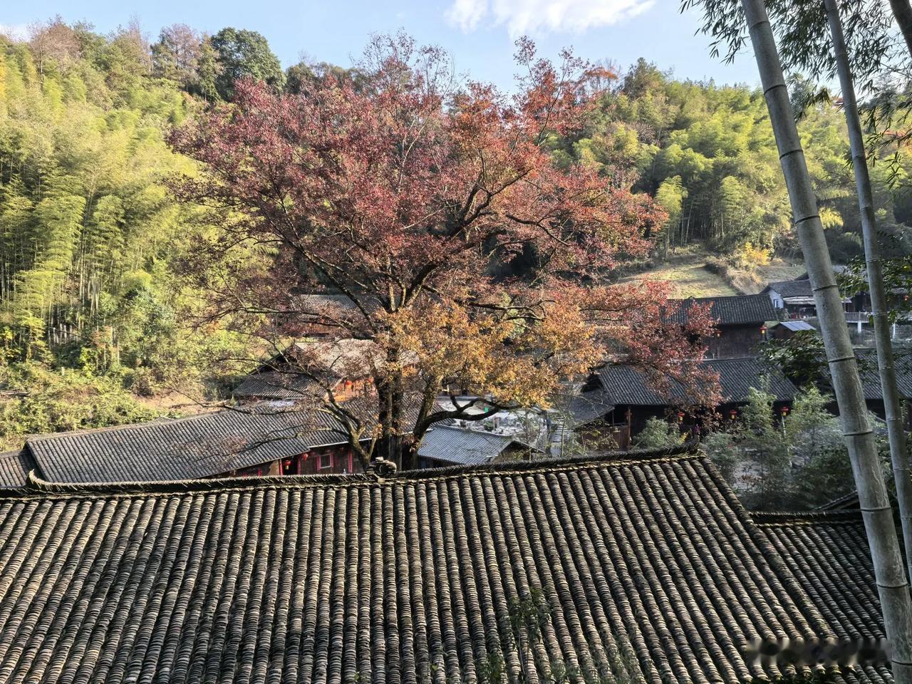 七排.甲辰大雪时节有感
（2024年12月6日）
大雪纷纷洒九天，银装素裹映山川