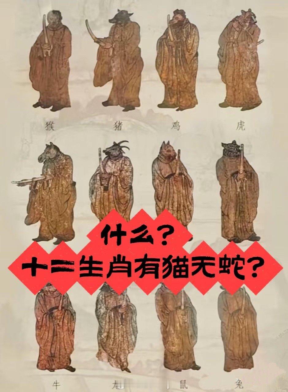 属蛇的人在古代可能属猫  ，“原来我闺蜜真的属猫啊”，据说很早之前十二生肖有猫没