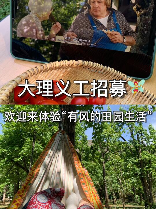 大理小院儿义工招募｜欢迎来体验田园生活