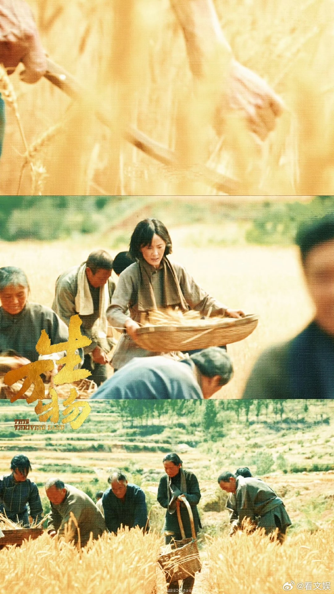 杨幂值得这座白玉兰视后奖杯我是观众我支持杨幂拿奖白玉兰视后终极预测，我预测杨幂啊